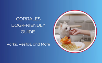 Dog-Friendly Spots in Corrales, NM: Perfect for Pet Owners
