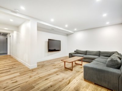 Living Room Remodels